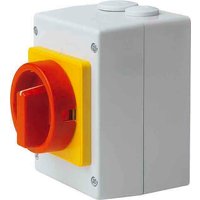 Elektra Tailfingen Haupt-Not-Ausschalter isogekapselt S1 011/HS-T8/2-D-MRG - 188604 von Elektra Tailfingen