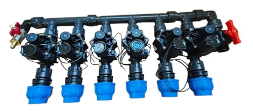 Rain Verteiler 2-fach 3-fach 4-fach 5-fach 6-fach Ventilverteiler 1" SET mit Magnetventil RN155 Plus IG Kupplungen DN25 DN32 Druckluftanschluss und Ventil (DN25, Verteiler 6-fach (2x3)) von Elektro Softmarkt