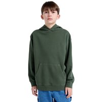 Element Hoodie "Cornell 3.0" von Element