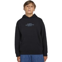 Element Hoodie "Skateboard" von Element