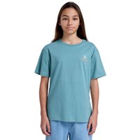 Element Shirttop "SBXE Remember" von Element