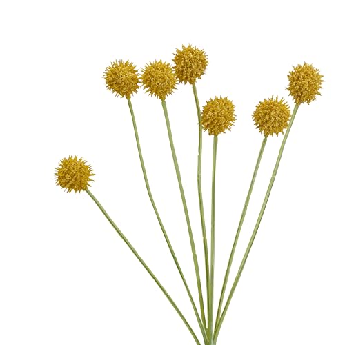 Elements Craspedia Blossom Künstliche Blumenstiele, Kunstblume für Heimdekoration, 6 Stück, Gelb Elements Craspedia Blossom Künstliche Blumenstiele, Kunstblume für Heimdekoration, 6 Stück, Gelb von Elements