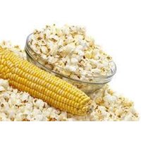 Mais-Samen Popcorn Ukraine Heirloom Bio-Saatgut Durchschnitt #865 Mais-Samen Popcorn Ukraine Heirloom Bio-Saatgut Durchschnitt #865 von Elenaseeds