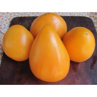 Tomatensamen Herz Gold Ukraine Heirloom Gemüsesamen #443 Tomatensamen Herz Gold Ukraine Heirloom Gemüsesamen #443 von Elenaseeds