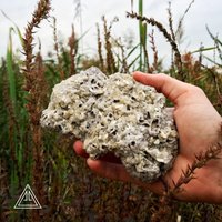 Hochwertiger 1, 2 Pfund Heulandit Auf Calcit Und Quarz Nach Anhydrit, Mit Chalcopyrit, Apophyllit Usw. Seltene Doppelseitige Kristallgruppe von ElesynGaea