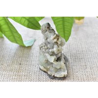 Prehnit Turm Exemplar Nach Anhydrit. Untere Neue Straße Steinbruch. Große Und Mittlere Größe Schrank Stück. New Jersey. Traubenförmige Selbst Stehen von ElesynGaea