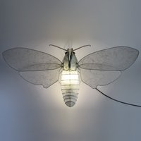 Hawk Moth-Inspired Desk Light Sculpture, Sphingidae, Insect Inspired Paper Leucht-Skulptur von Elfenschein