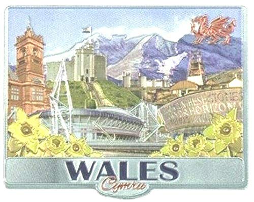Walisischer Kühlschrankmagnet Wales Souvenir Geschenk Cymru Collage Montage Szenen Sehenswürdigkeiten von Elgate