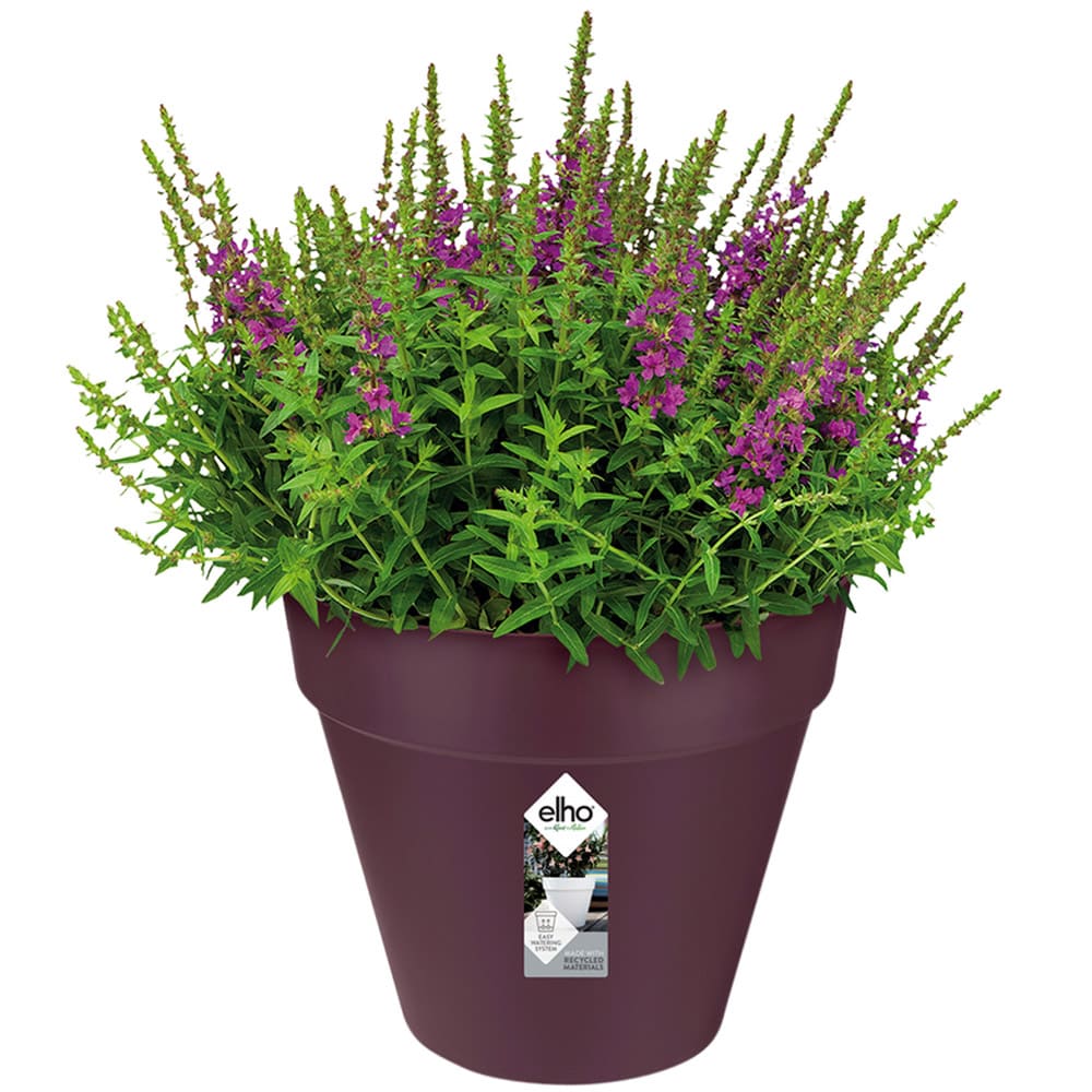 Blumentopf Maulbeere Matt 25x22cm 5,5L von Elho