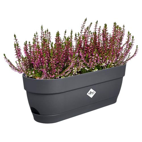 elho Vibia Campana Balkonkasten 50 mit Wasserreservoir - Blumentopf Balkon - 100% recyceltem Plastik - Ø 49.0 x H 17.0 cm - Schwarz/Anthrazit von elho