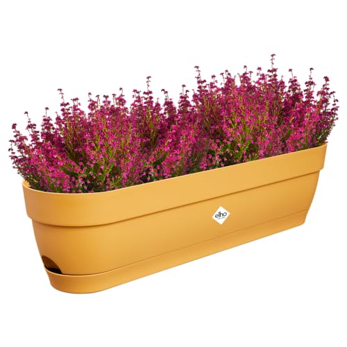 elho Vibia Campana Balkonkasten 70 mit Wasserreservoir - Blumentopf Balkon - 100% recyceltem Plastik - Ø 69.0 x H 17.0 cm - Gelb/Honig Gelb elho Vibia Campana Balkonkasten 70 mit Wasserreservoir - Blumentopf Balkon - 100% recyceltem Plastik - Ø 69.0 x H 17.0 cm - Gelb/Honig Gelb von elho