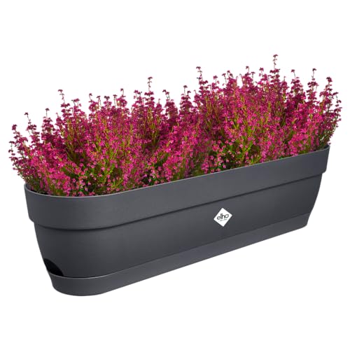 elho Vibia Campana Balkonkasten 70 mit Wasserreservoir - Blumentopf Balkon - 100% recyceltem Plastik - Ø 69.0 x H 17.0 cm - Schwarz/Anthrazit von elho