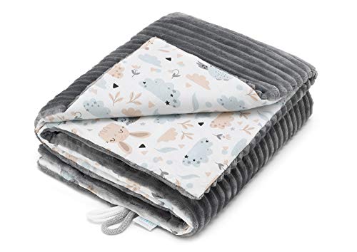 ELIMELI Babydecke Kuscheldecke Junge Krabbeldecke 75x100 | Ultraweicher Gestreifter Microfaser-Plüsch Stoff aus Baumwolle | Füllung | hoch Qualität | ideal als Kinderwagendecke ((Grau - Eule)) von ELIMELI