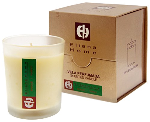 Eliana Home 643040 Becher rote Kerze und Palma Wald von Eliana Home