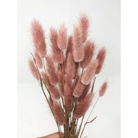 Natürliche Rosa Lagurus Rosa Getrocknete Blumen 15G Ein Bündel Trockene Blume Hauptdekor Hochzeitsgeschenk Boutonniere Natürliche Rosa Lagurus Rosa Getrocknete Blumen 15G Ein Bündel Trockene Blume Hauptdekor Hochzeitsgeschenk Boutonniere von Elimluv