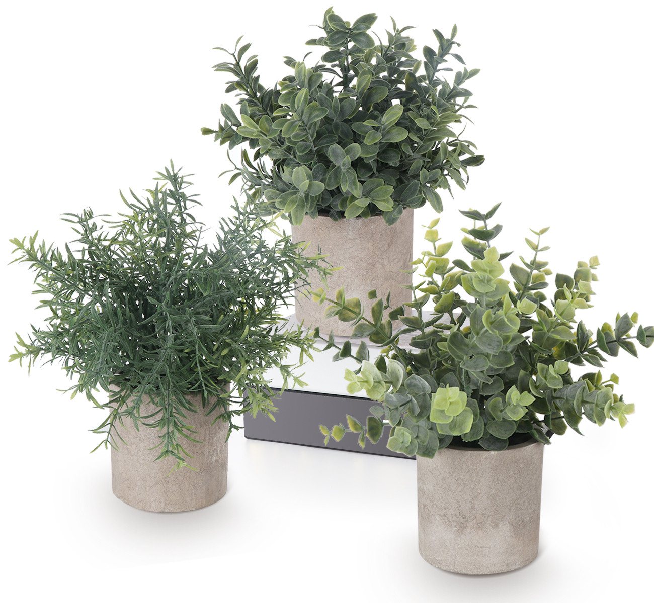 Künstliche Zimmerpflanze Mini Kunstpflanzen mit Töpfen Eukalyptus Rosmarin Babysbreath, ElitVita, Tischdeko Haus Balkon Büro Deko Künstliche Zimmerpflanze Mini Kunstpflanzen mit Töpfen Eukalyptus Rosmarin Babysbreath, ElitVita, Tischdeko Haus Balkon Büro Deko von ElitVita