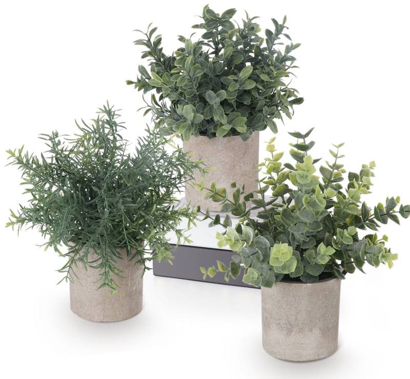 Künstliche Zimmerpflanze Mini Kunstpflanzen mit Töpfen Eukalyptus Rosmarin Babysbreath, ElitVita, Tischdeko Haus Balkon Büro Deko von ElitVita