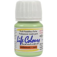 Elita Acryllack Hellgrün 15ml von Elita