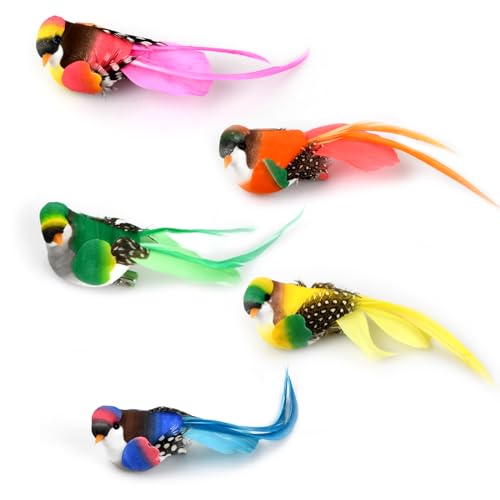 Elitecran 5 Stück Bunte Künstliche Feder Schaum Vögel Auf Clips, Feder Vogel Modell, Vogelfigur Simulation Gartenfigur Vogel Künstlichen Vögeln Federn, Garten Mini Vogel für Baumschmuck Ornamente DIY von Elitecran