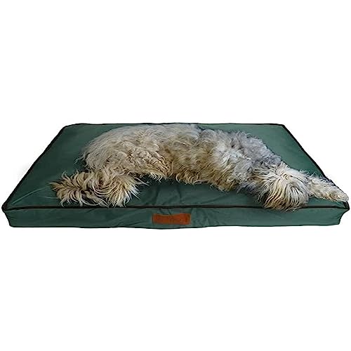 Ellie-Bo Hundebett für Innen, Matratze weich und waschbar, Bezug: wasserfestes Oxford-Gewebe, Füllung: Polyesterfaser, für 122-cm-Hundekäfig, Größe XXL: 117 x 75 x 10 cm, grün mit braunen Paspeln Ellie-Bo Hundebett für Innen, Matratze weich und waschbar, Bezug: wasserfestes Oxford-Gewebe, Füllung: Polyesterfaser, für 122-cm-Hundekäfig, Größe XXL: 117 x 75 x 10 cm, grün mit braunen Paspeln von Ellie-Bo