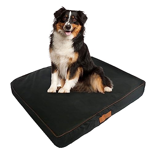 Ellie-Bo Wasserdicht Memory Foam Orthopädisches Hundebett für Hundekäfig/Hundekäfig, klein, 61 cm, schwarz von Ellie-Bo