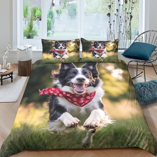 Border Collie Bettbezug Tiere Motiv Bettwäsche Set Mit 2 Kopfkissenbezug Und Reißverschluss Atmungsaktive Weiche Bequemer 3 Teilig Für Erwachsene Und Kinder King（220x240cm） von EllieAu