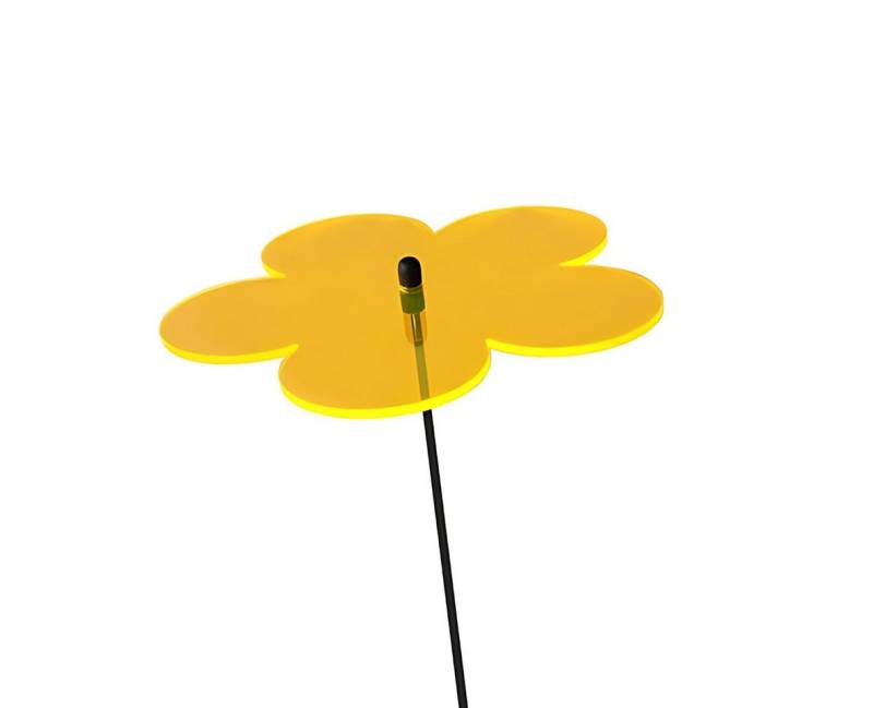 Elliot Wanddekoobjekt Elliot Lichtzauber Blume 4 cm orange mit 20 cm Stab Elliot Wanddekoobjekt Elliot Lichtzauber Blume 4 cm orange mit 20 cm Stab von Elliot