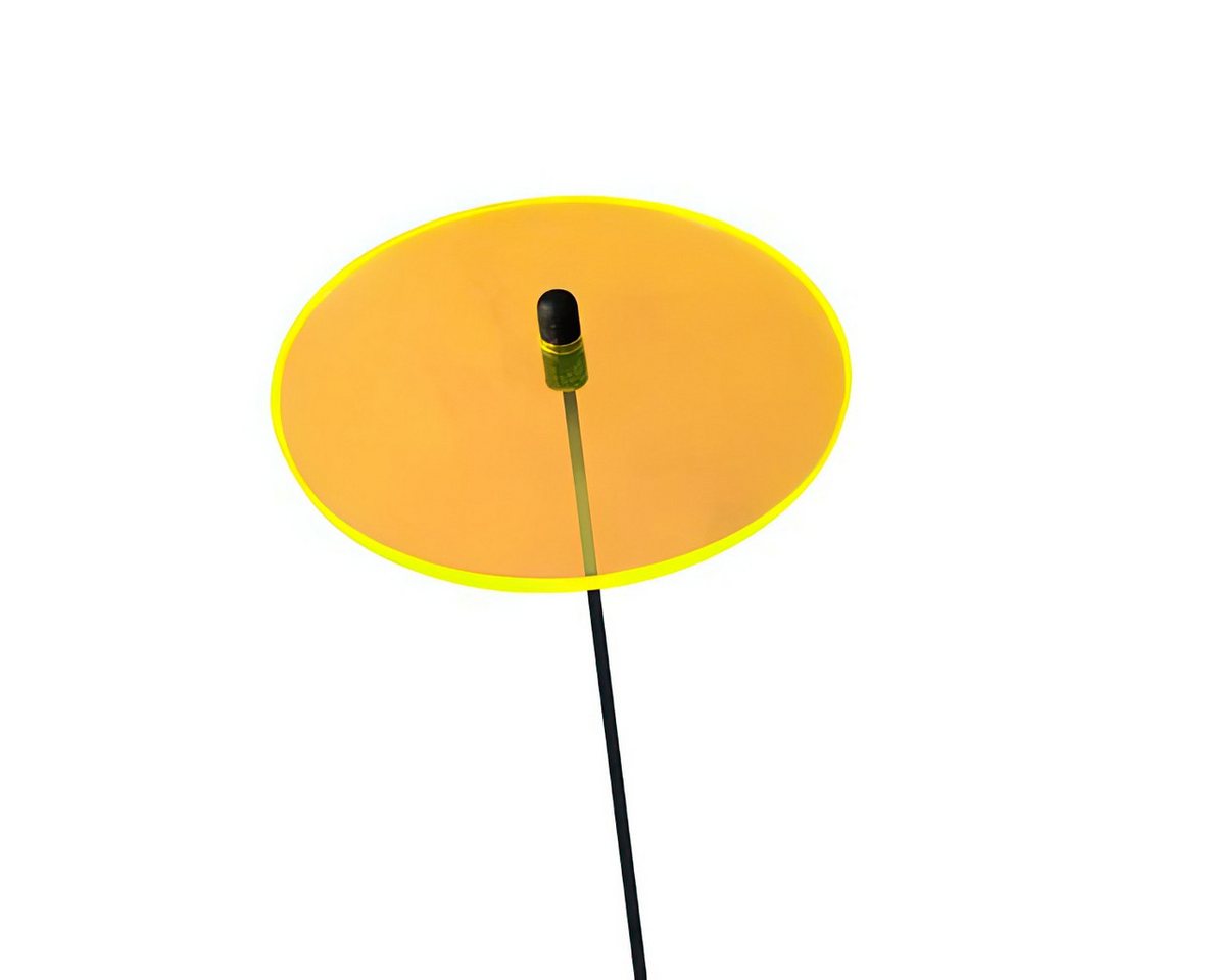 Elliot Wanddekoobjekt Elliot Lichtzauber Scheibe 3 cm orange mit 20 cm Stab Elliot Wanddekoobjekt Elliot Lichtzauber Scheibe 3 cm orange mit 20 cm Stab von Elliot