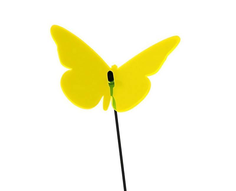 Elliot Wanddekoobjekt Elliot Lichtzauber Schmetterling gebog 5cm gelb 20cm Stab Elliot Wanddekoobjekt Elliot Lichtzauber Schmetterling gebog 5cm gelb 20cm Stab von Elliot