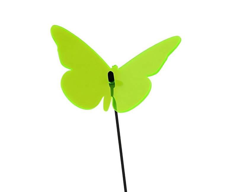 Elliot Wanddekoobjekt Elliot Lichtzauber Schmetterling gebogen 16 cm grün Elliot Wanddekoobjekt Elliot Lichtzauber Schmetterling gebogen 16 cm grün von Elliot