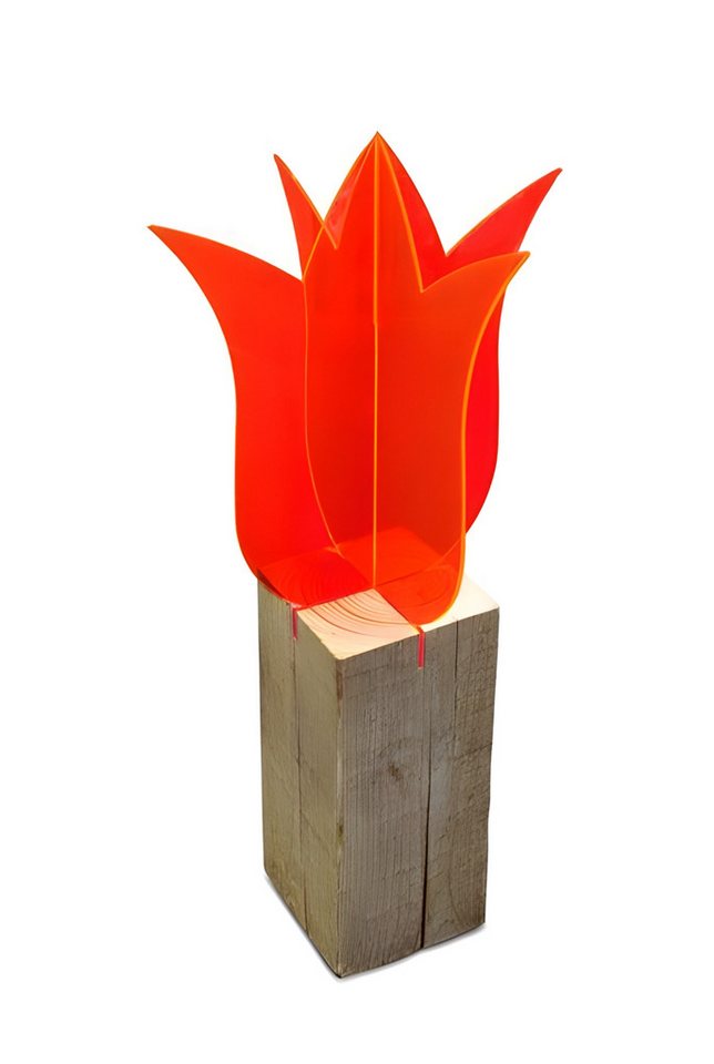 Elliot Wanddekoobjekt Elliot Lichtzauber Tulpe 3D stehend 20 cm rot Elliot Wanddekoobjekt Elliot Lichtzauber Tulpe 3D stehend 20 cm rot von Elliot