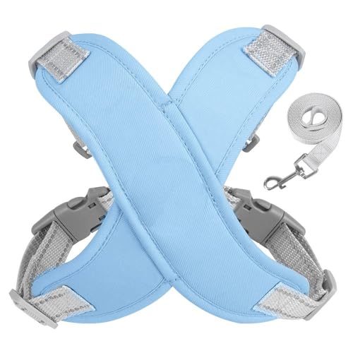 [Ellniges]【Hundegeschirr mit Leinen-Kombi】 Hochwertiges Reflektierendes Sicherheitsgeschirr Wasserdicht Anpassbar für Große/Kleine Hunde für Nachtwanderungen und Stadtspaziergänge von Ellniges