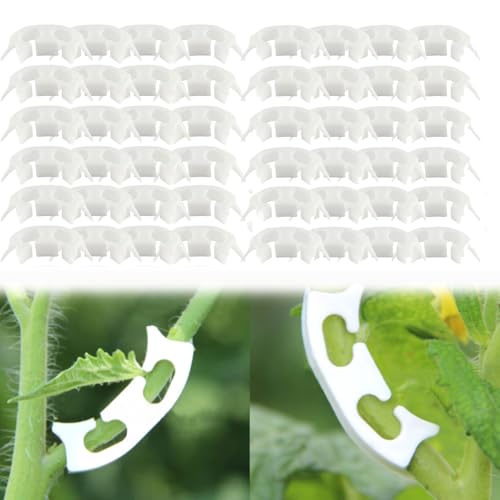 Ellxen 50 stück Pflanzen Bieger Clips,Für Niedrige Belastung Pflanzenstützclips 90 Grad Pflanzenstiel Trainer Zum Biegen Von Pflanzenstämmen Und Ändern Der Wuchsrichtung Ellxen 50 stück Pflanzen Bieger Clips,Für Niedrige Belastung Pflanzenstützclips 90 Grad Pflanzenstiel Trainer Zum Biegen Von Pflanzenstämmen Und Ändern Der Wuchsrichtung von Ellxen