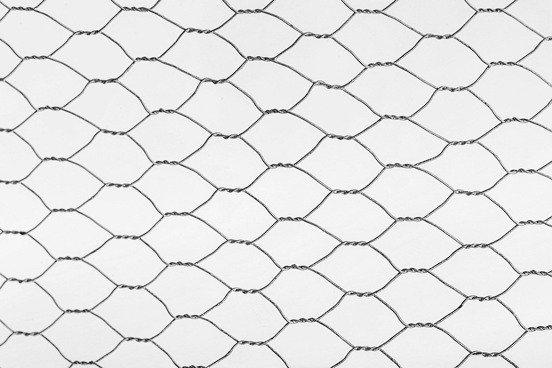 Sechseck-Geflecht auf Rolle Sechseck-Geflecht auf Rolle von Elmar Jung