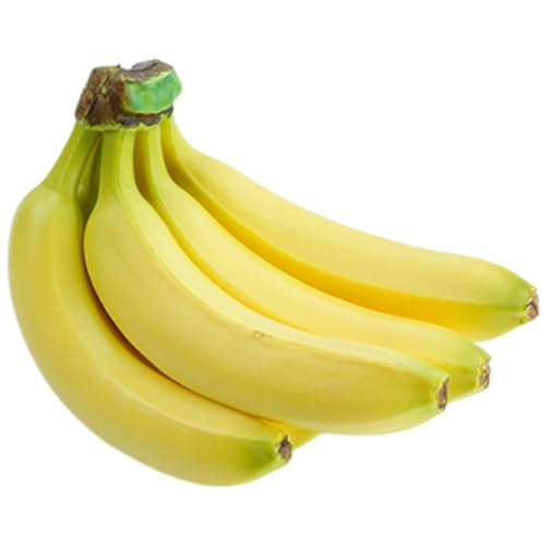 Elnwnnkc Realistische Künstliche Bananensimulation Obstmodell Für Home Dekoration Korb Display Klassenzimmer Unterrichtshilfe Fotografie Fenster Gefälschter Obstdisplay Elnwnnkc Realistische Künstliche Bananensimulation Obstmodell Für Home Dekoration Korb Display Klassenzimmer Unterrichtshilfe Fotografie Fenster Gefälschter Obstdisplay von Elnwnnkc