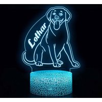 Labrador Nachtlichter, Kinder Wohnkultur, Nachtlicht Für Kinder, Hundeliebhaber Geschenke, Tier Nachtlicht, Haustier Gedenknachtlicht, Hundegeschenk von ElsadiyDecorStore