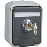 Elso AP-Steckdose licht-/basaltgrau 455029 - 455029 Elso AP-Steckdose licht-/basaltgrau 455029 - 455029 von Elso