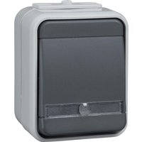 Elso Taster 1Schließer AP bel.,lgrau/dgrau ELG442119 - ELG442119 Elso Taster 1Schließer AP bel.,lgrau/dgrau ELG442119 - ELG442119 von Elso