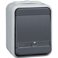 Elso Universaltaster AP 1Wechs.,bel,lgr/dgr ELG442619 - ELG442619 Elso Universaltaster AP 1Wechs.,bel,lgr/dgr ELG442619 - ELG442619 von Elso