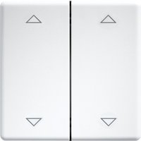 Eltako Doppelwippe lasergraviert f.55x55mm rws/glänz DW-FT55-wg+2P - 30000985 von Eltako