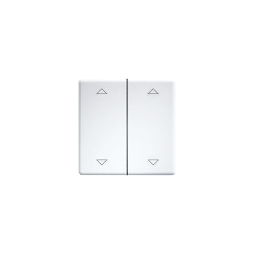 Eltako Doppelwippen lasergraviert für Taster und Schalter 55er Design und E-Design55 reinweiß glänzend DW-FT55-wg+2P von Eltako