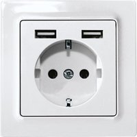 Eltako Schutzkontakt-Steckdose reinweiß glänzend DSS55E+2xUSBA-wg - 30055896 von Eltako
