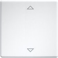 Eltako Wippe lasergraviert f.55x55mm rws W-FT55-rw+2P - 30000982 von Eltako
