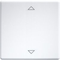 Eltako Wippe lasergraviert f.55x55mm rws W-FT55-rw+2P Eltako Wippe lasergraviert f.55x55mm rws W-FT55-rw+2P von Eltako