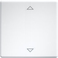 Eltako Wippe lasergraviert f.55x55mm rws W-FT55-wg+2P von Eltako