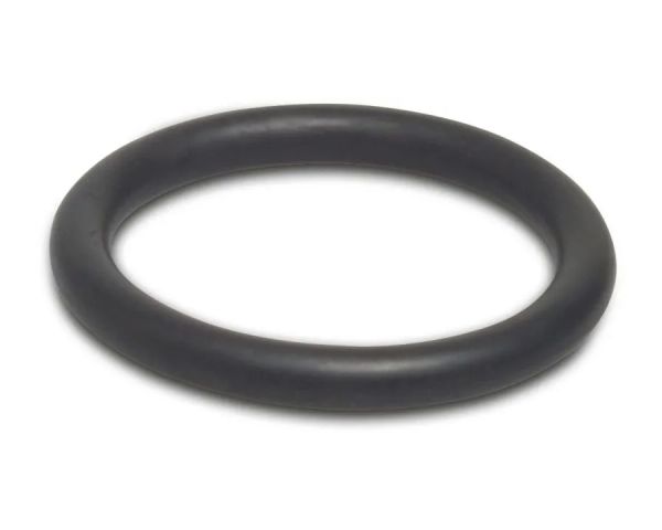 O-Ring für PP Kupplung 25mm - Dichtung für Verschraubung - Ersatzdi... von Elysee