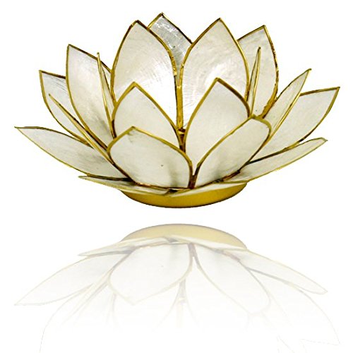 Lotus Licht Teelicht-Halter aus Capiz Muscheln in versch. Farben Ø 13.5 cm Lotus Chakra Feng Shui (Perlmut Gold) von Emada