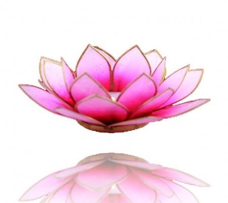 Lotus Licht Teelicht-Halter aus Capiz Muscheln in versch. Farben Ø 13.5 cm Lotus Chakra Feng Shui (Rosa- hell Rosa Gold) von Emada
