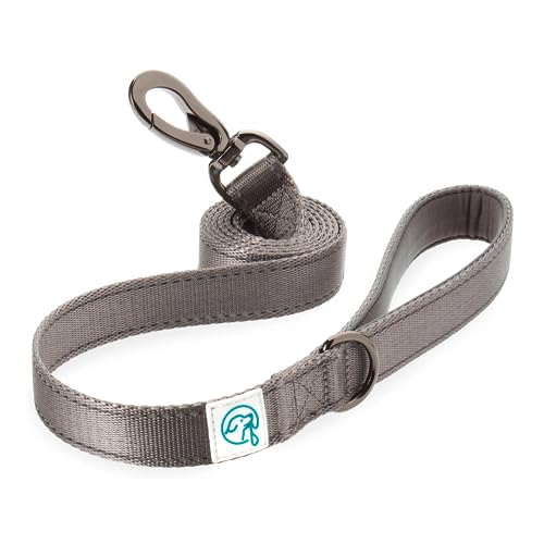 Embark Explorer Leine / Hundeleine mit Soft-Griff - 1,5 m Länge von Embark Pets