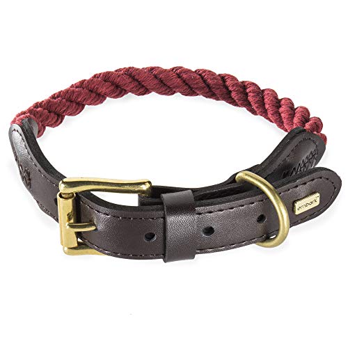 Embark Pets Country Dog Hundehalsband, geflochtene Baumwolle und Leder-Finish, klein, mittel, groß und extra groß, Welpenhalsband, langlebig und robust für Training, Spazierengehen, Laufen von Embark Pets